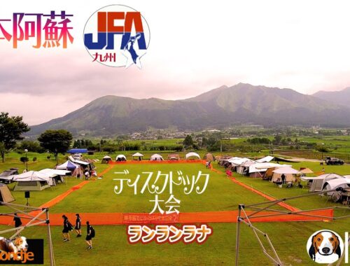 #89 JFAフリスビードック熊本大会！素晴らしい阿蘇の風景で愛犬とドックスポーツ！！