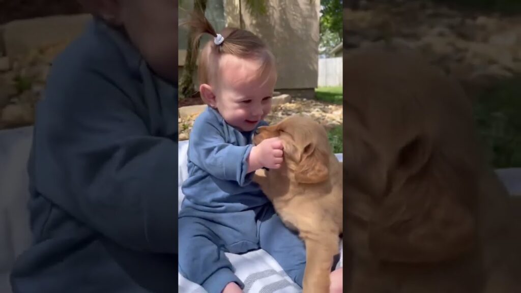 Cute Puppies Compilation 8 #PuppyLove#AdorablePuppies#PuppyHealth#PuppyLife Cute Puppies Compilation 8 #PuppyLove#AdorablePuppies#PuppyHealth#PuppyLife