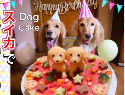 犬用ケーキの作り方～超簡単!! 犬の誕生日はスイカでケーキを手作り