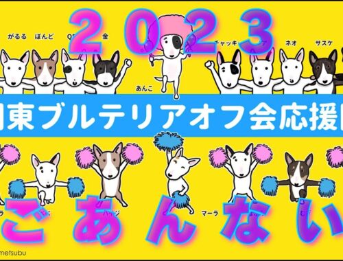 ［ブルテリア］Miniature Bull Terrier  関東ブルテリアオフ会応援団からのお知らせ　News from the Kanto Bull Terrier meet-up!
