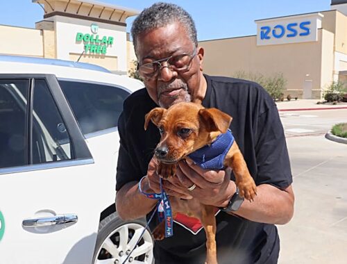 Tiny Puppy Helps Grandpa Get Back On His Feet | Cuddle Buddies
