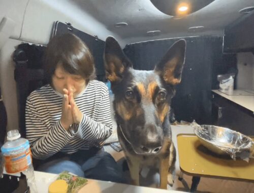 愛犬と一緒に滋賀県産を食べ尽くす車中飯がおいしすぎた！【ジャーマンシェパード】