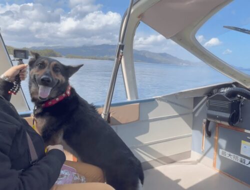 愛犬が初めて乗ったモーターボートで見せた驚きのリアクションがこちらｗ