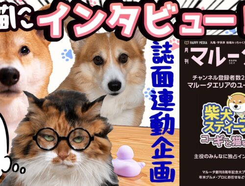【犬猫インタビューの様子】地元(丸亀・宇多津)の月刊マルータ連動動画！？