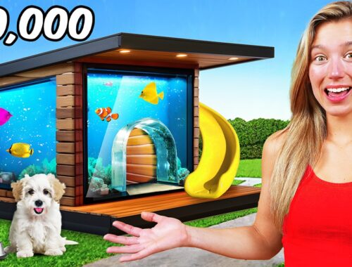 I Built a $10,000 Dream Dog House