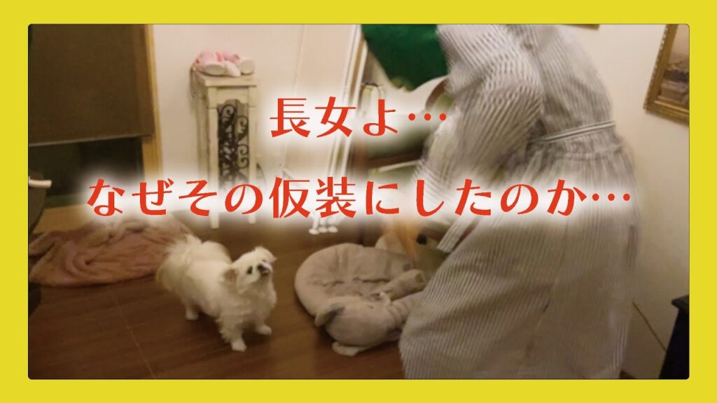 天然長女のハロウィン仮装にドン引きする2匹をご覧ください 天然長女のハロウィン仮装にドン引きする2匹をご覧ください