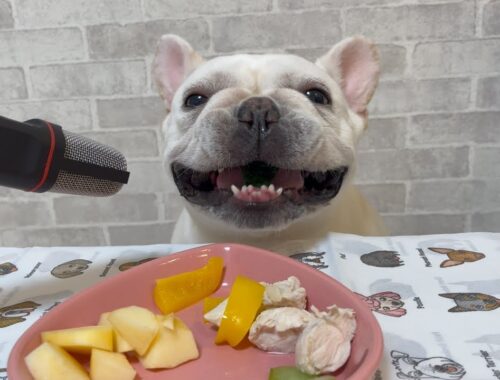 幸せな食事のはずだったが…しかしｗｗ【ASMR】【フレンチブルドッグ frenchbulldog】