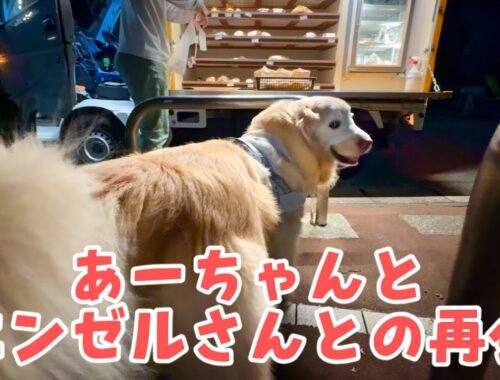 【感動のお買い物あーちゃん再び】富士山パワーでパン屋さんと再会/ にーちゃんの彼女に母もたじたじ