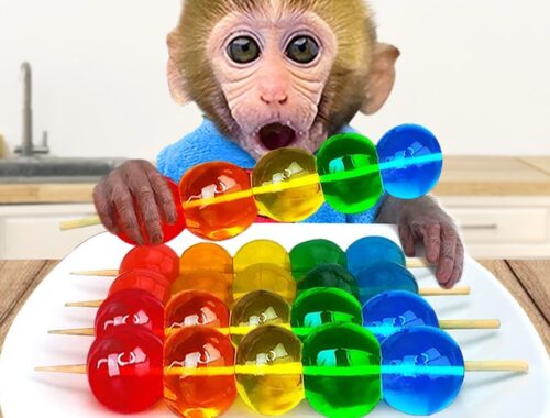 Monkey Baby Bon Bon eats rainbow jelly with puppies and bathes with ducklings in the bathroom
