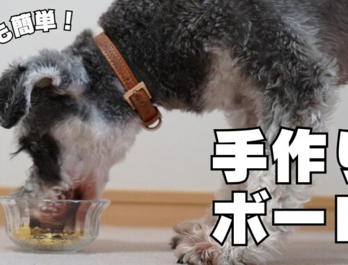 【さつまいもボーロ】犬おやつ手作りレシ｜ミニチュアシュナウザー