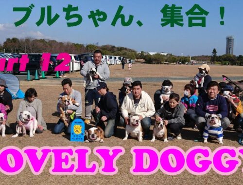 LOVELY DOGGY Part-12 ブルちゃん集合！！ BULLDOG