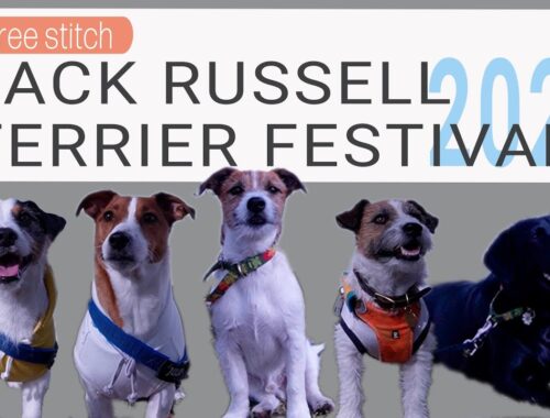 JACK RUSSELL TERRIER FESTIVAL 2023　参加してきました！