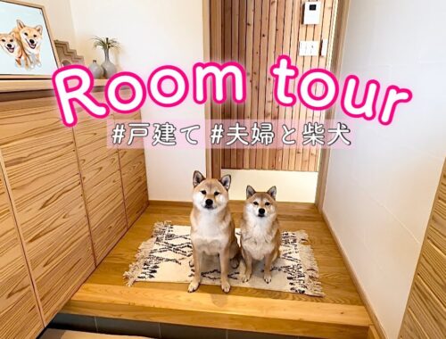 軽井沢に移住した夫婦＋柴犬2匹、我が家のルームツアー