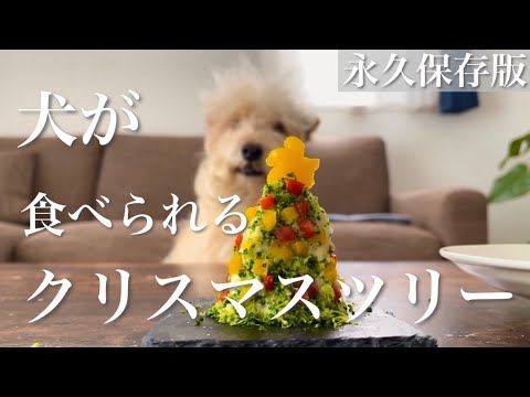 【永久保存版】愛犬と一緒に食べられるクリスマスツリー。超簡単。レークランドテリア