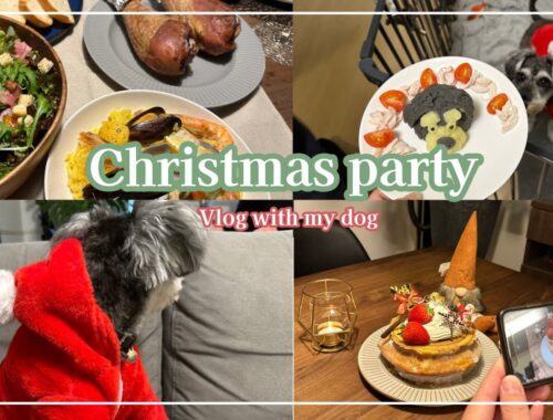 愛犬用手作りケーキ&ごはんで最高のクリスマス！　クリスマスパーティー | Christmas party 2023