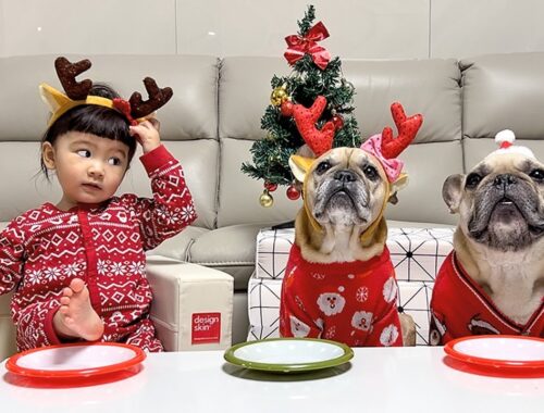 2 Dogs And A Baby Have Christmas Feast ** HELP Things Nearly Went ALL WRONG