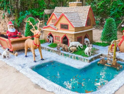 Build Christmas Dog House for Rescue Puppies in New Year 2024
