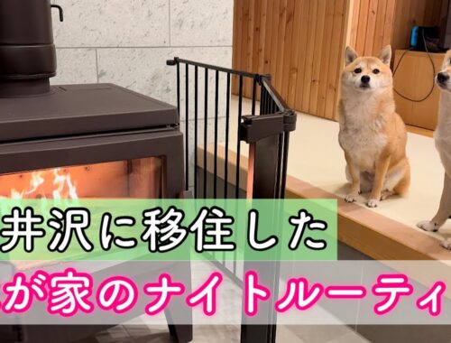 軽井沢に移住して1ヶ月、柴犬と暮らす我が家のナイトルーティン