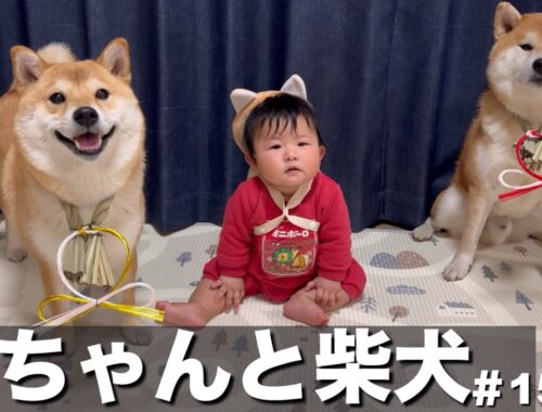【赤ちゃんと柴犬】今年初めての動画更新と私が大切にしたいと思う事