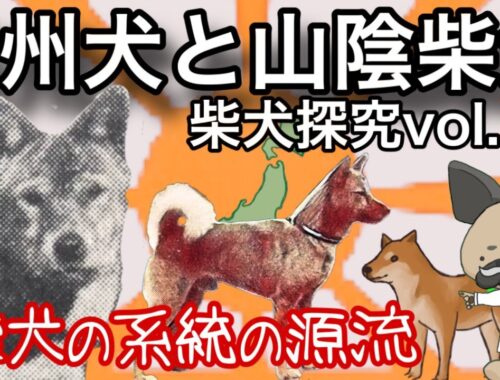 石州犬と山陰柴〜柴犬探求vol.5〜柴犬系統の源流