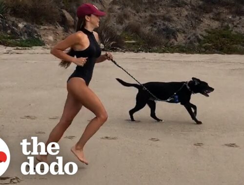 Dog Has Been Running In Circles For Four Years | The Dodo
