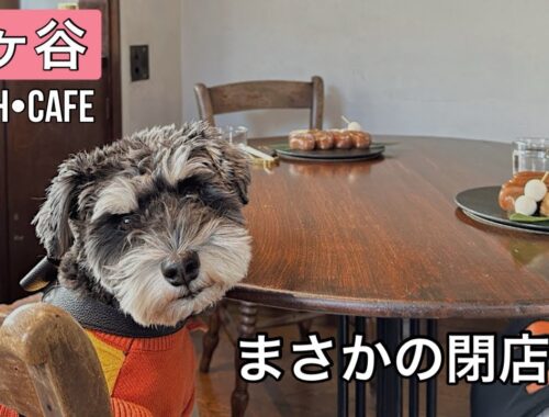 【幡ヶ谷】和カフェからの人気カフェ行ったらまさかの閉店しちゃうんだって！！