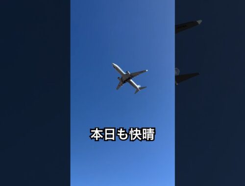ジェット機が飛んでいく#ジェット機 #快晴 #青空 #コーギーカーディガン #コーギーのいる暮らし #dog