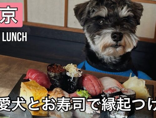 【愛犬とお寿司】日本橋の寿司貞でシースーデートした日❤️