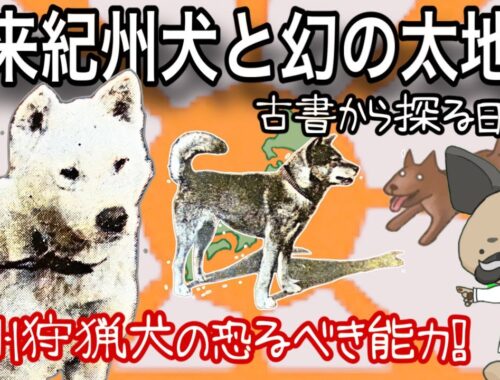 古来紀州犬と幻の太地犬〜紀州犬2〜古書から探る日本犬