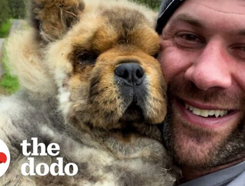 Blind Forever Puppy Melts In His New Dad’s Arms | The Dodo