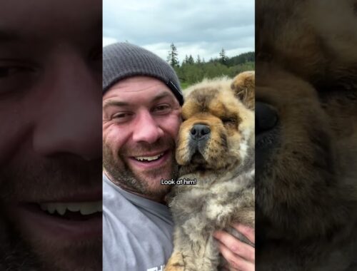 Blind Forever Puppy Melts In His New Dad’s Arms | The Dodo