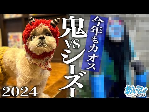 【青鬼vs犬】我が家のカオスな節分が今年もひどすぎる…2024
