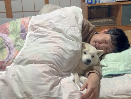 しばらく嫁ちゃんと別々で寝ることになったので愛犬と一緒に寝ることにしました。