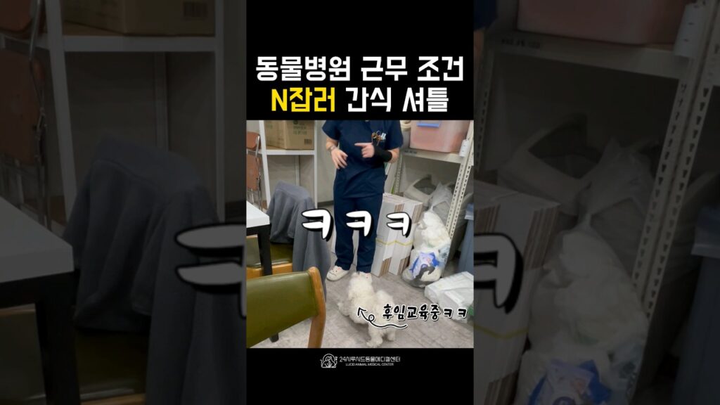 동물병원 텃세🐶 #동물병원 #강아지 #shorts