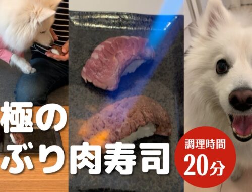 至極の手作り犬ご飯 だしの旨味が効いた炙り肉寿司 #やすまるだし公式アンバサダー #やすまるだし #PR #やすまる #日本スピッツ