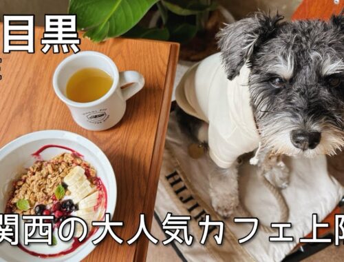 【中目黒カフェ】関西の人気カフェがついに東京上陸🚌✨オフィス併設オシャレカフェ☕️