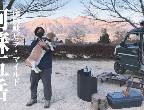 家のゆる担当と阿蘇五岳が綺麗に見渡せる南阿蘇ビラ・マイルドで車中泊キャンプ #九州 #熊本 #阿蘇 #ソロキャンプ #犬連れキャンプ #犬連れ車中泊 #いぬ #バセットハウンド