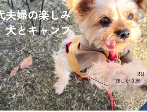 【ヨーキー】５０代夫婦のリアル　　　　犬と楽しむキャンプ
