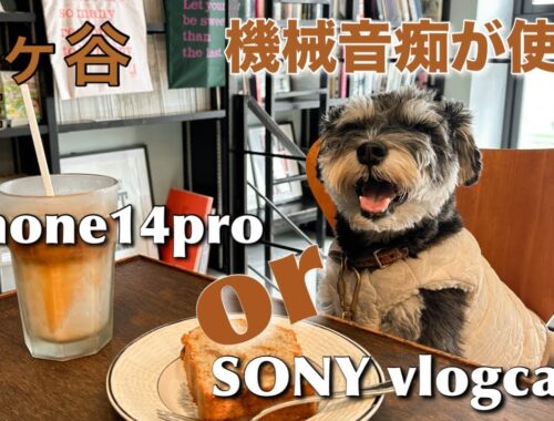 【富ヶ谷カフェ】海外っぽカフェでiPhone14proとSONY ZV-E10 のVLOGカメラ比較してみた！！