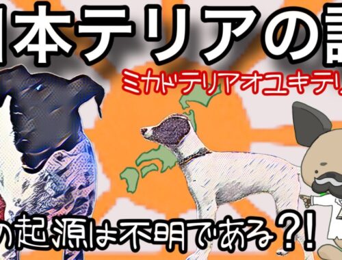 日本テリアの謎〜日本原産犬種の探究〜その起源は不明である⁈