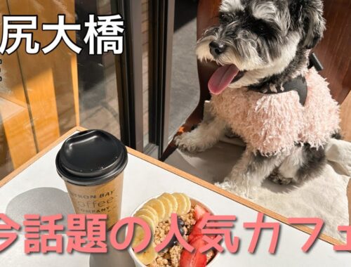 【池尻大橋カフェ】東京手土産を買ってアサイー食べたょ！！