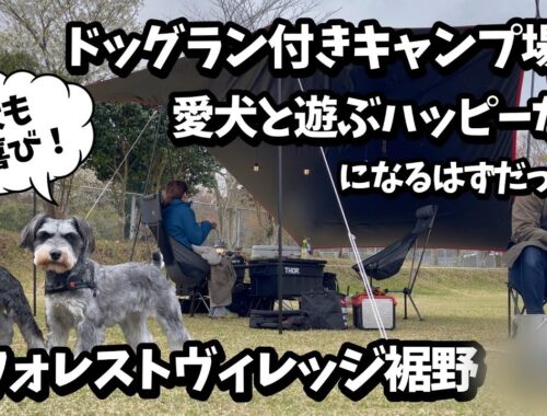 【犬とキャンプ】ミニチュアシュナウザーとドッグランのあるキャンプ場で外遊び inフォレストヴィレッジ裾野