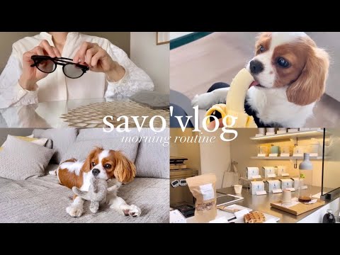 【vlog】キャバリアさぼ｜アラサーOL愛犬と暮らすmorning routine