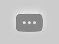 Livestream Puppy Cam REPLAY! 6 Adorable Labrador Puppies in their Play Room #cutepuppies #puppy Livestream Puppy Cam REPLAY! Adorable Labrador Puppies in their Play Room #labrador #puppy