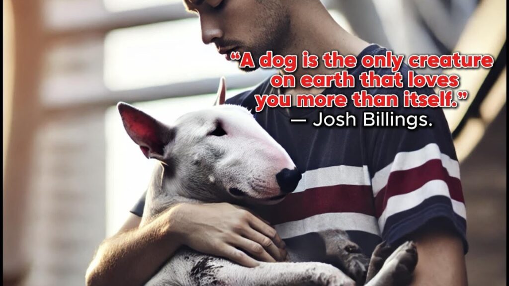 Bull Terrier The Story Of Friendship Bull Terrier The Story Of Friendship
