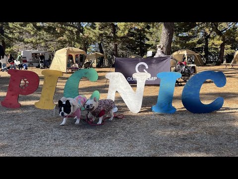 SUPER SEASIDE DOGRUN 2025 ~DOGRUN CARAVAN~ in 横浜市金沢区 海の公園 / 海の公園 フレブル さくらと小春 SUPER SEASIDE DOGRUN 2025 ~DOGRUN CARAVAN~ in 横浜市金沢区 海の公園 / 海の公園 フレブル さくらと小春