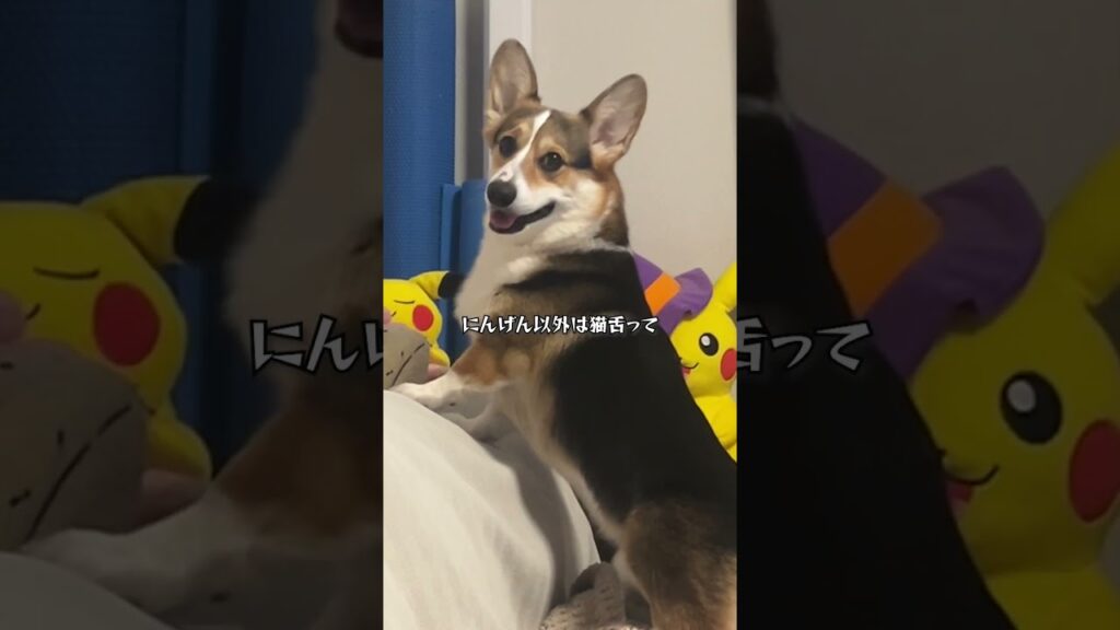 みんなに伝えなきゃ！#shorts