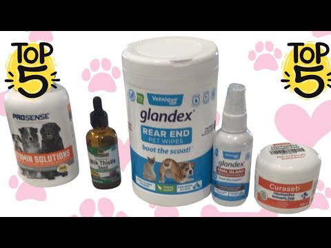 The Top" 5 "Must-Have Dog Products! Peanut’s Favorites for Health & Happiness!