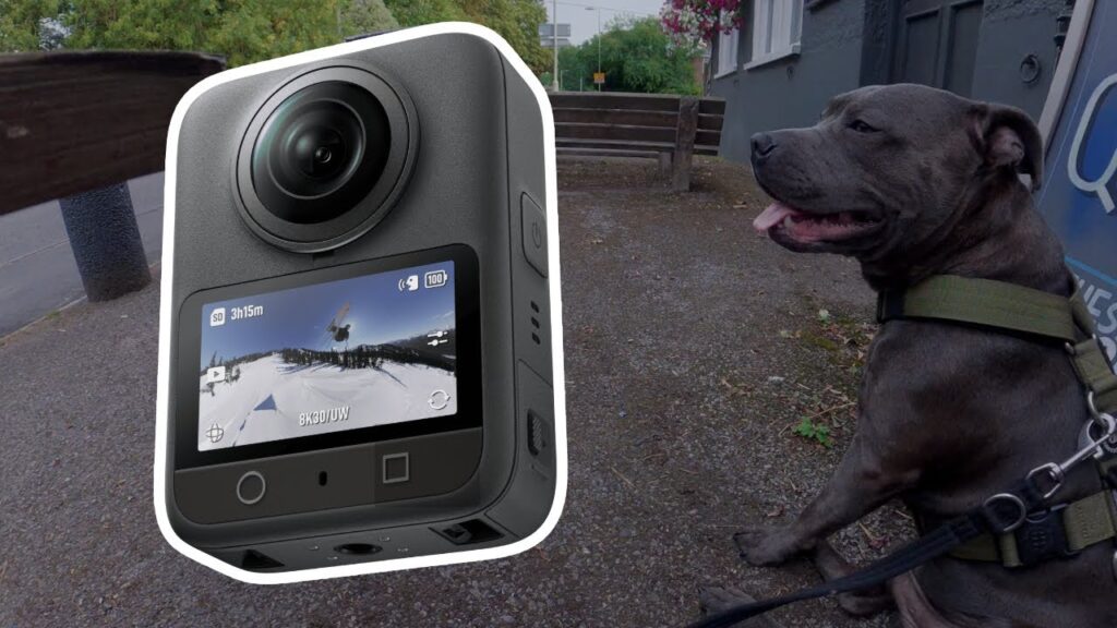Testing out the (DJI Osmo 360) on my 1 Yr Old Staffy