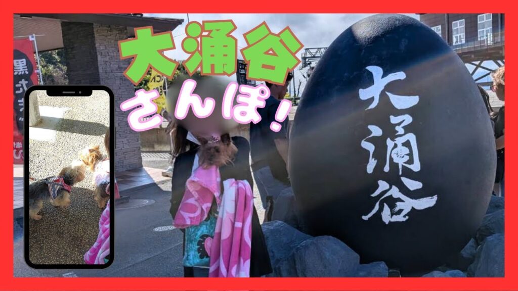 小さなヨーキーと箱根・大涌谷散歩｜足柄SAで出会ったお友達【小型犬おでかけVlog】